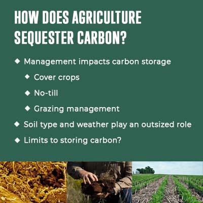 how does agriculture sequester carbon