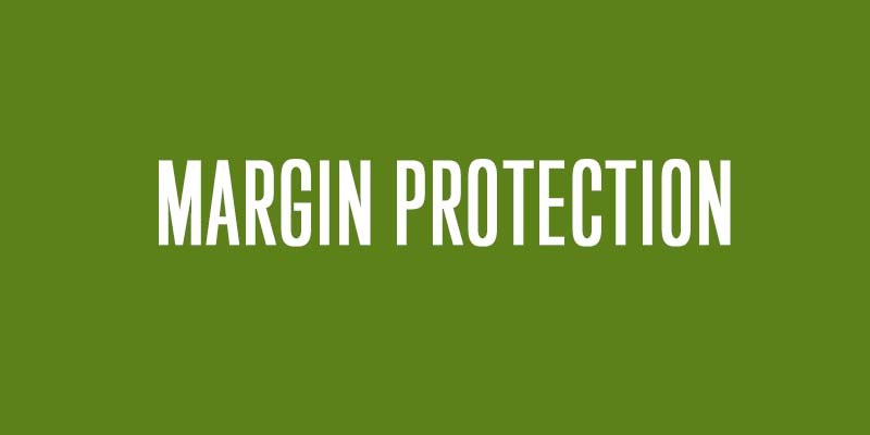 margin protection play video