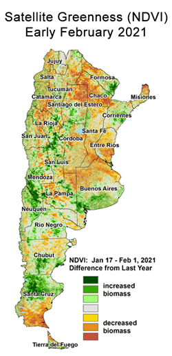 satellite-greeness-argentina-soybeans-early-february-2021-differ-from-last-year