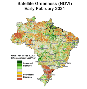 satellite-greeness-brazil-soybeans-early-february-2021-differ-from-last-year