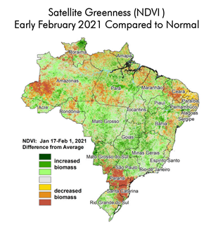 satellite-greeness-brazil-soybeans-early-february-2021