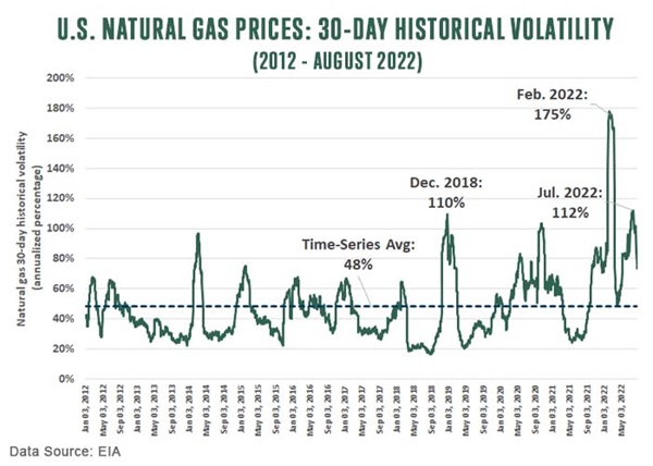 us natural gas prices 30 day historical volatility august 2022