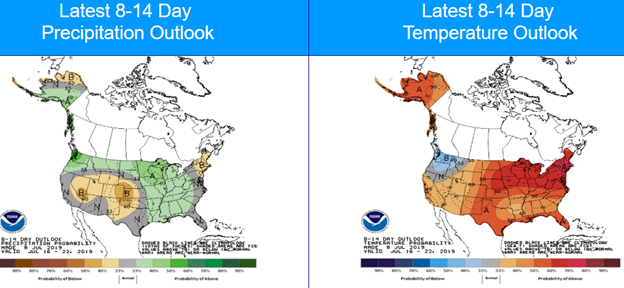 8-14 day outlook July 2019