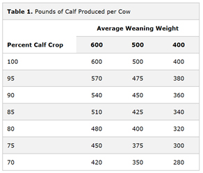 Pounds of Calf Produced per Cow