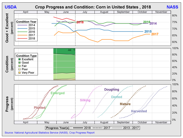 corn progress July 2018