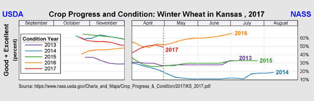 Crop Progress and Condition of Winter Wheat in Kansas