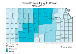 Risk of Freeze Injury to Wheat