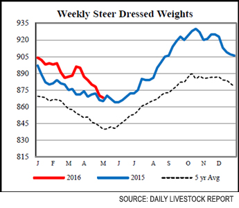 Weekly Steer Chart