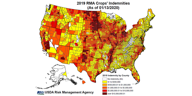 2019 RMA Crop Indemnities